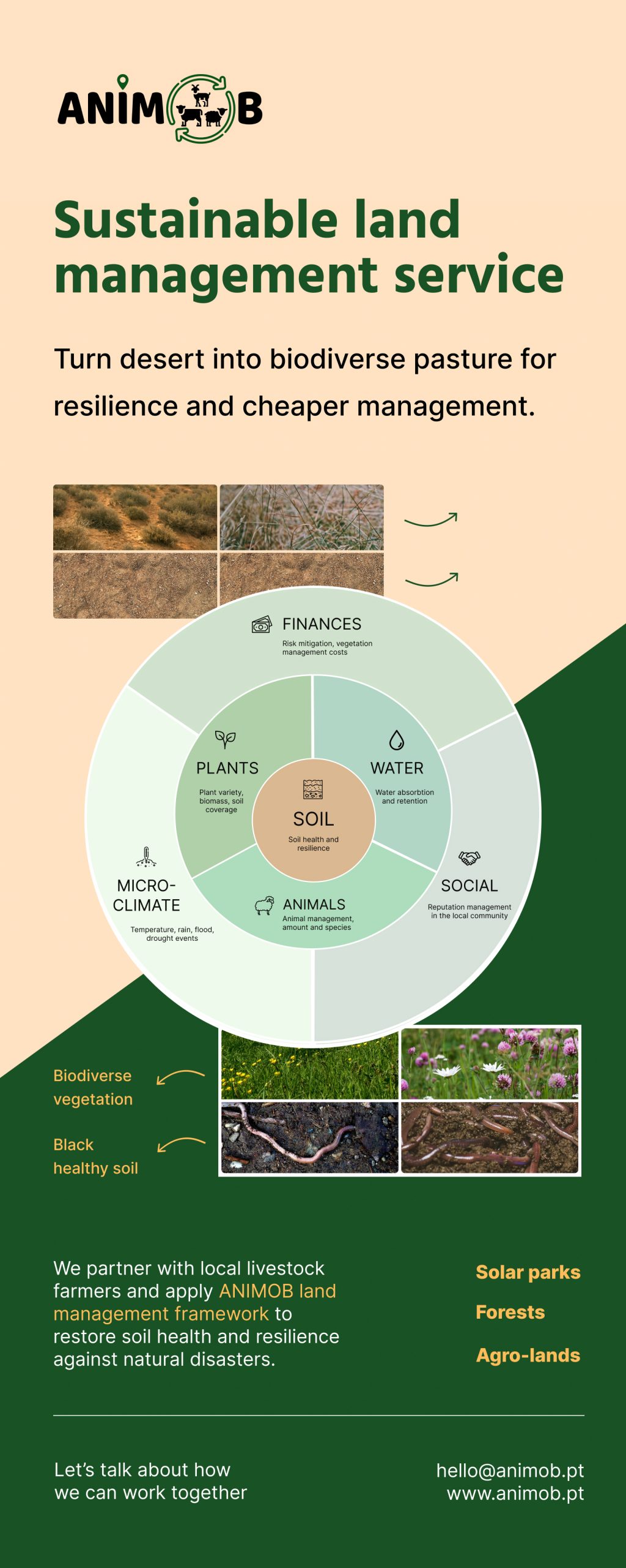 Roll-up banner