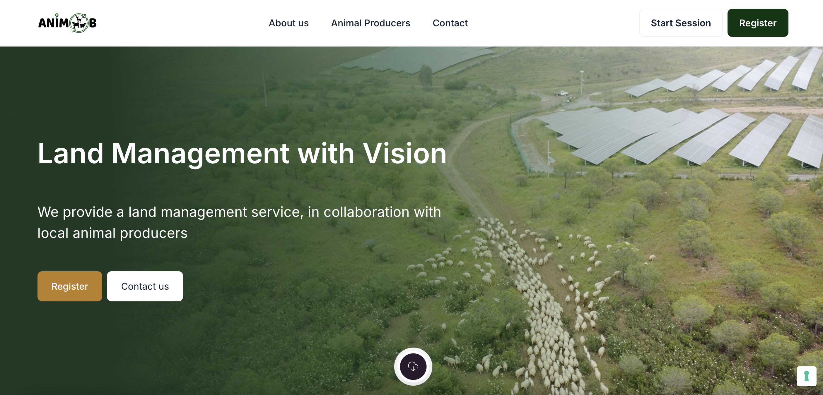 Website screen 2
