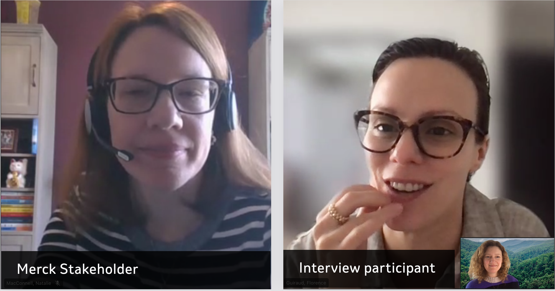 Stakeholder and user interviews