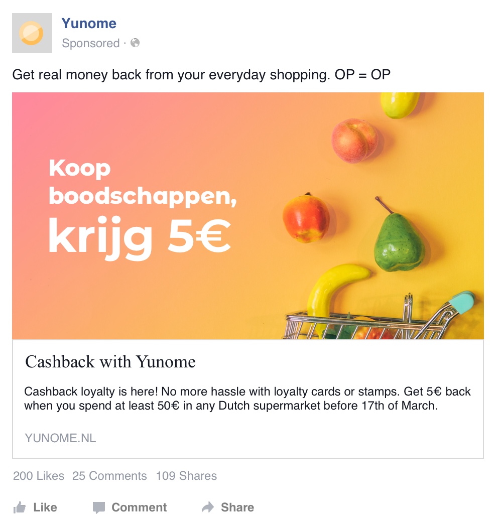 Facebook ad — desktop